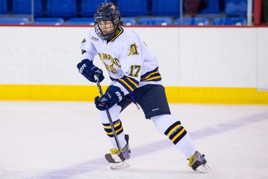 Quinnipiac womens ice hockey advances to semifinals with double overtime win