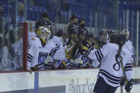 Double Vision: Quinnipiac Shutouts Cornell 3-0 for the Second Straight Time Taking a Season Sweep