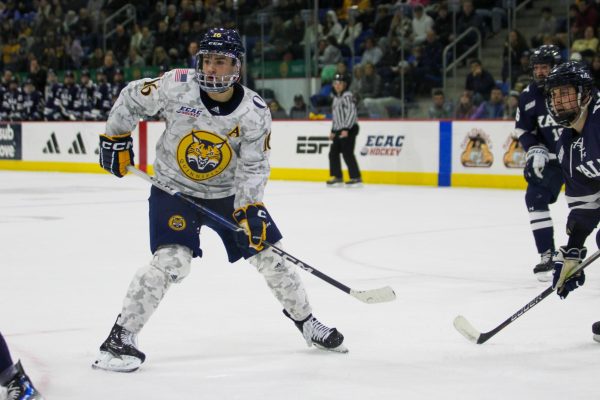 Bobcats vs. Big Red - What to know before Quinnipiac battles Cornell in an ECAC weekend matchup