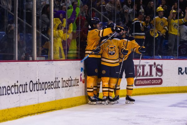Bobcats sweep the Engineers to earn a birth to Lake Placid