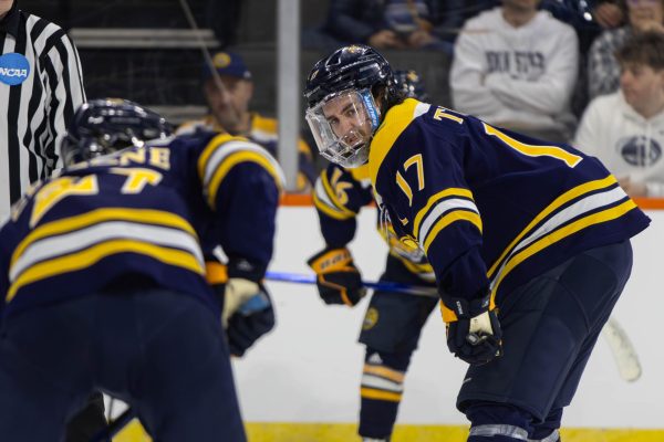 Men’s Ice Hockey Offseason Report