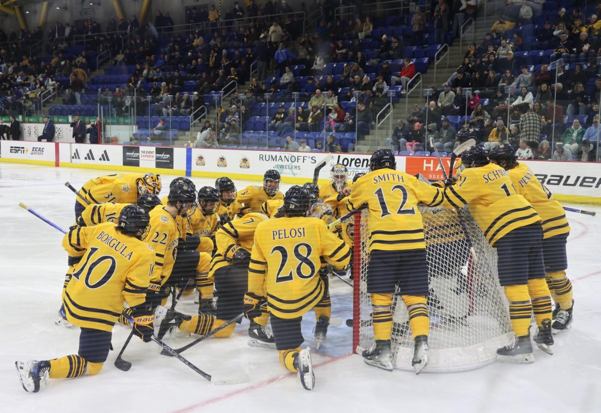 Men's Ice Hockey vs Brown 2/22/25