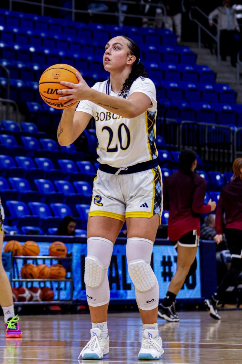 syd ryan iso