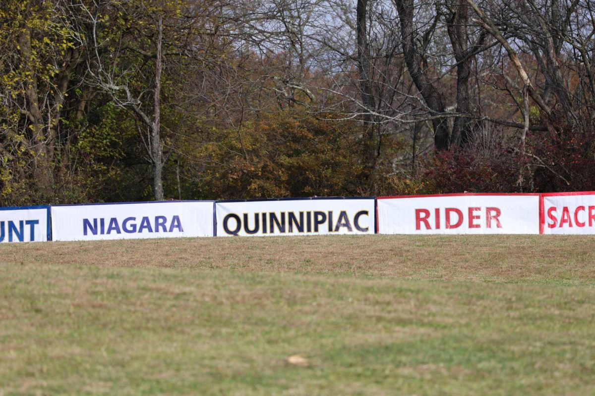 Quinnipic Banner 2