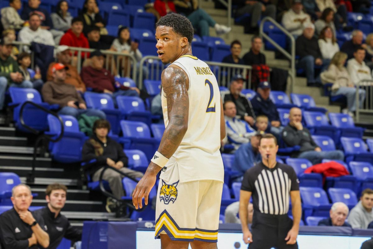monroe look back at iy