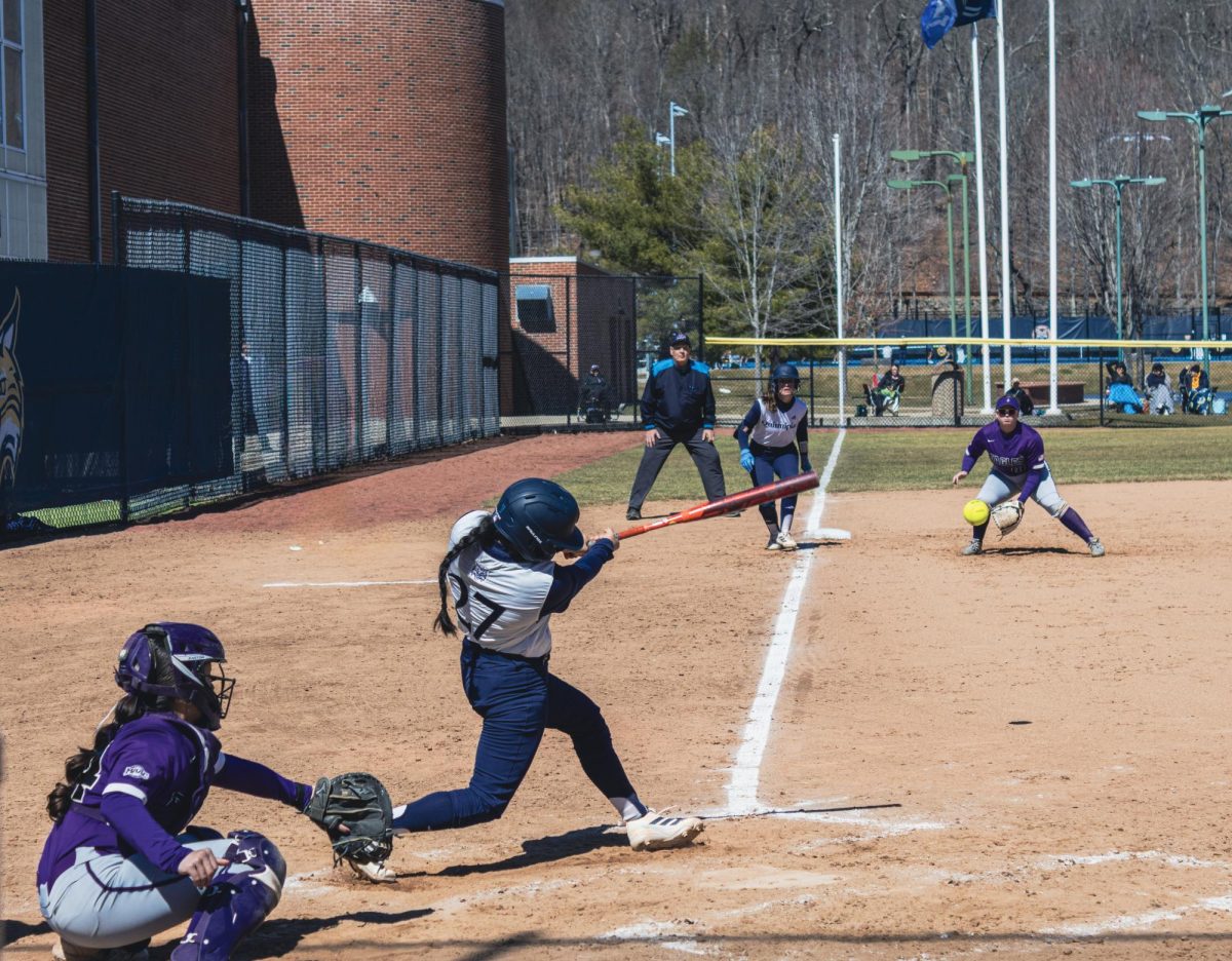 Quinnipiac Softball Fends Off Late Rally to Sweep Series vs Niagara